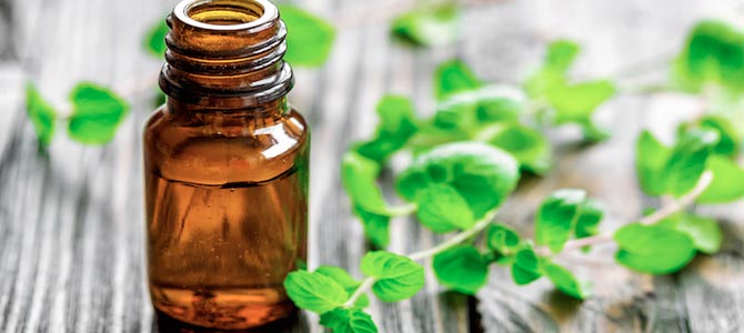 El aceite de Rosa Mosqueta. Beneficios y propiedades